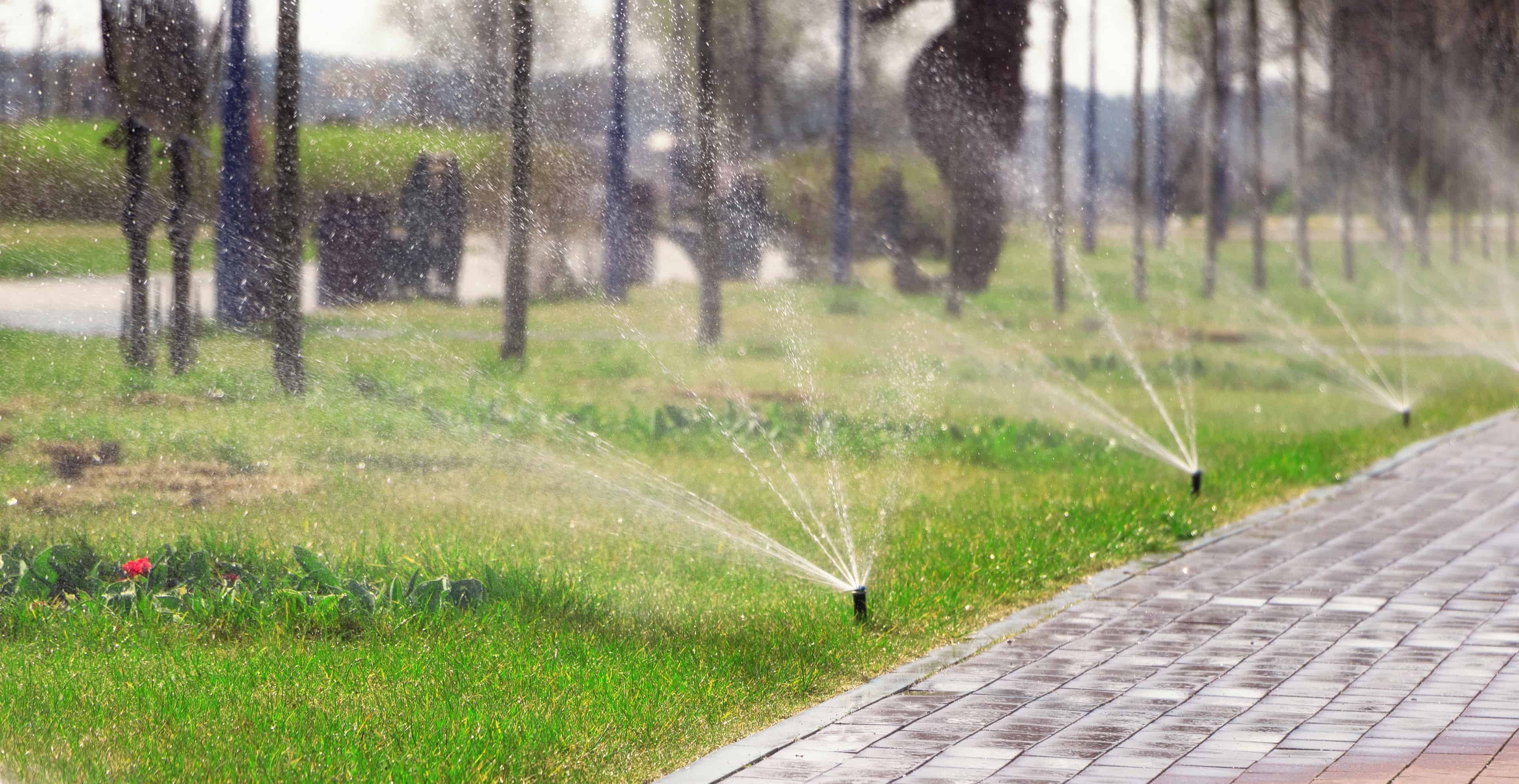 Irrigation System Installation image
