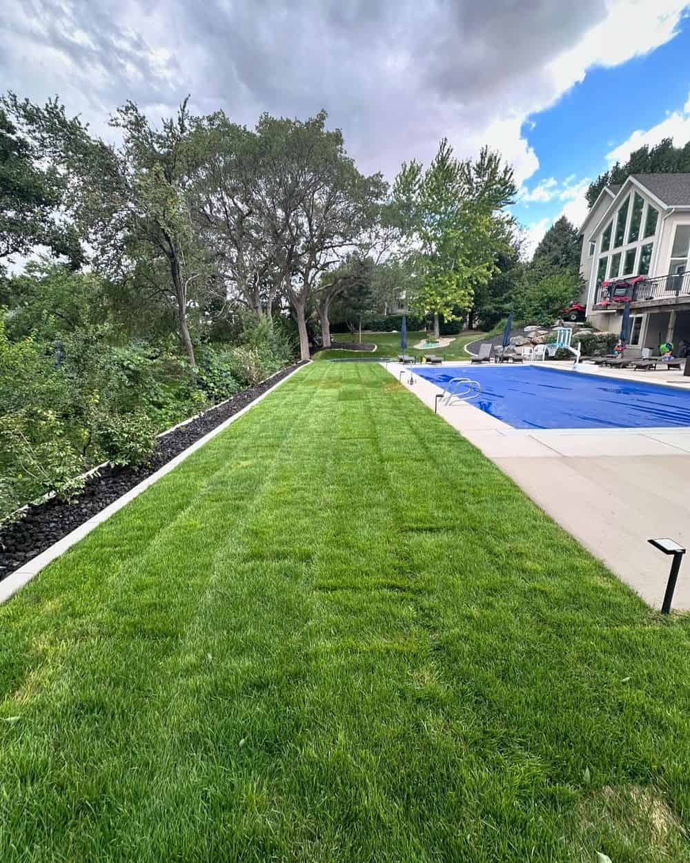 Sod Installation image