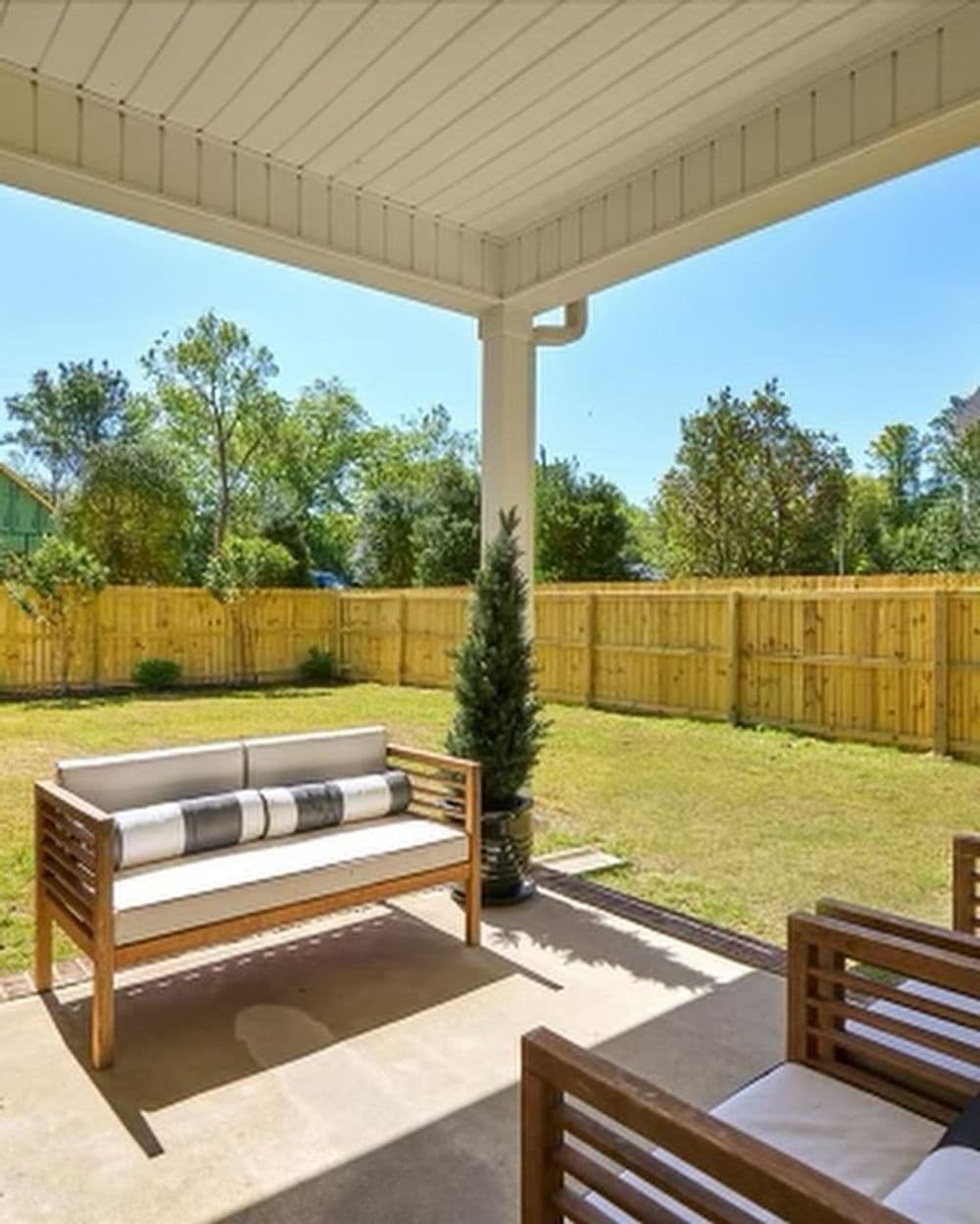 Full Backyard Landscape Remodel With Privacy Trees and Lighting