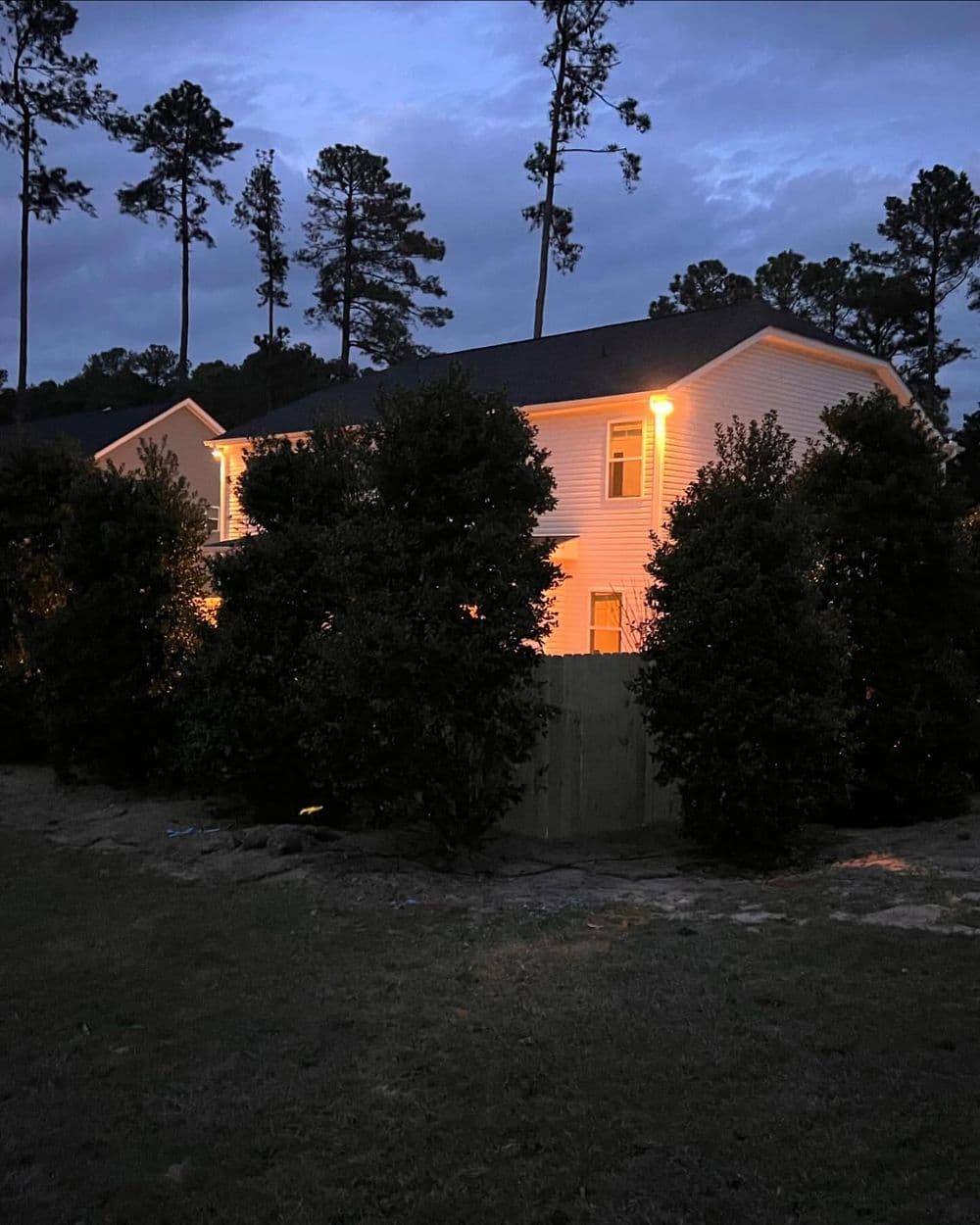 Full Backyard Landscape Remodel With Privacy Trees and Lighting