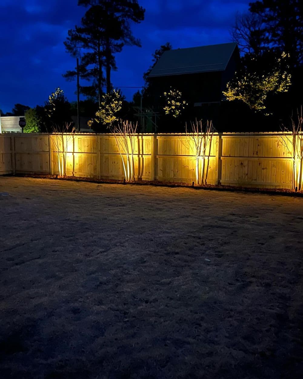 Project Full Backyard Landscape Remodel With Privacy Trees and Lighting image