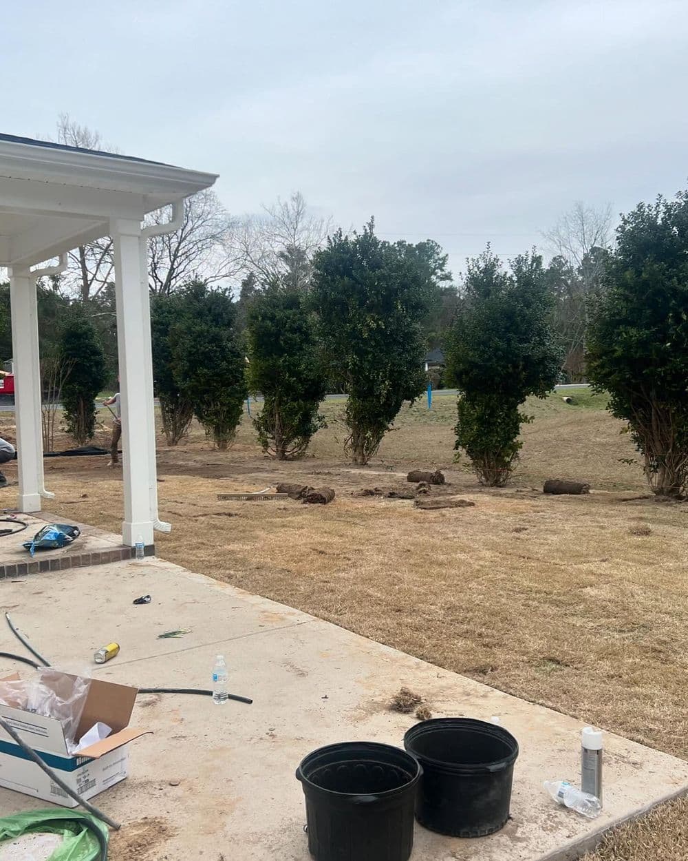 Full Backyard Landscape Remodel With Privacy Trees and Lighting