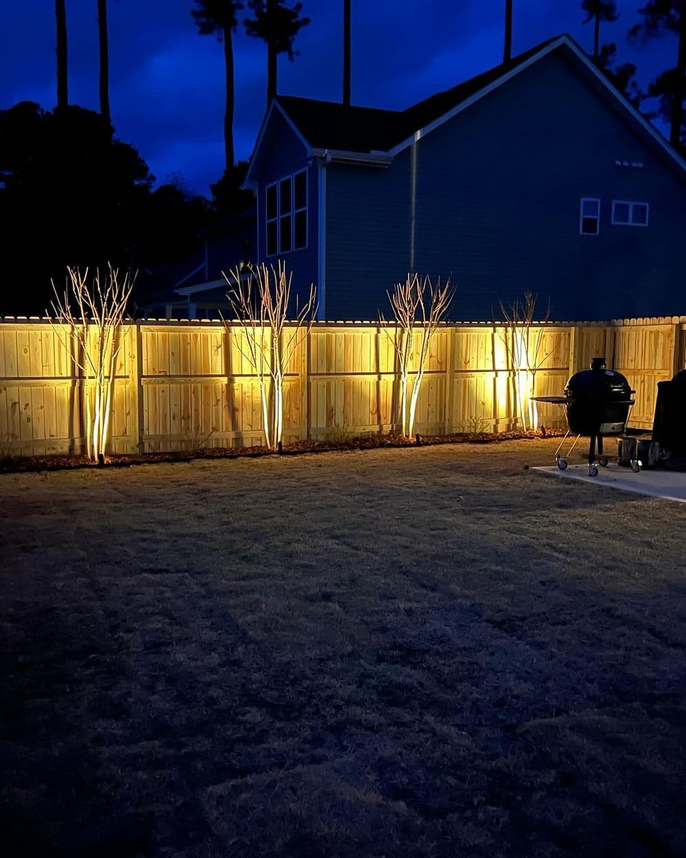 Full Backyard Landscape Remodel With Privacy Trees and Lighting
